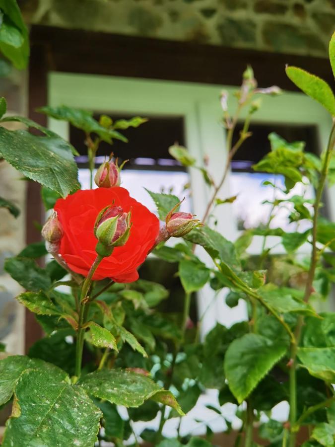 Ferienhaus Eifelrose Simmerath Ngoại thất bức ảnh