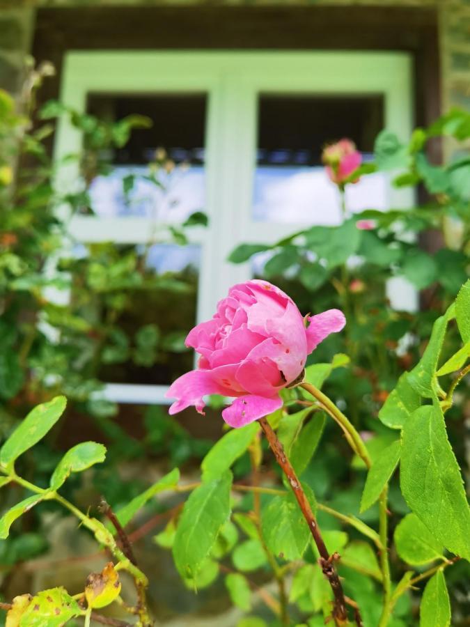 Ferienhaus Eifelrose Simmerath Ngoại thất bức ảnh